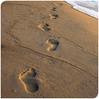 footprints in the sand.